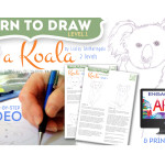 how to draw a koala