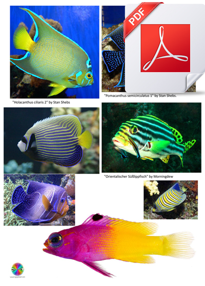 Download Tropical Fish Resource Sheet