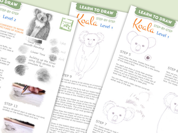 how to draw a koala
