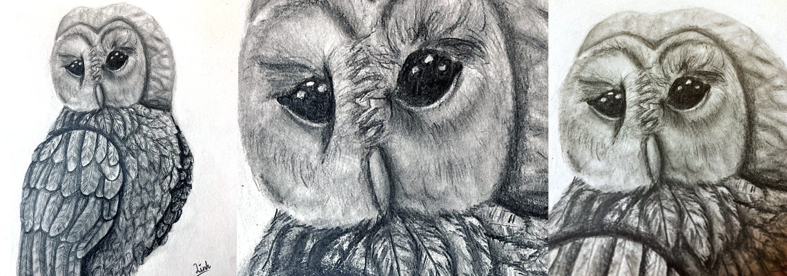 owl drawing by Lihn, art classes for kids, Engaged in Art classes for kids, art classes for kids redlands, art classes for kids brisbane, Lesley Smitheringale